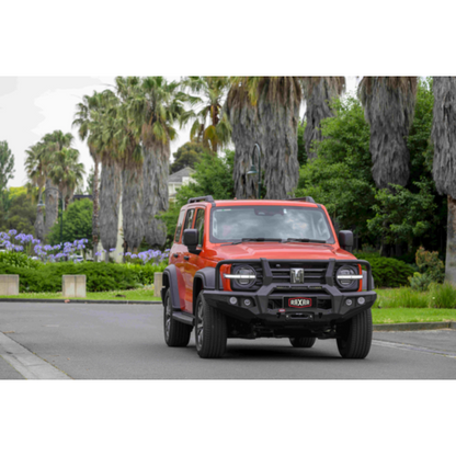 RAXAR Looped Bull Bar GWM Tank 300
